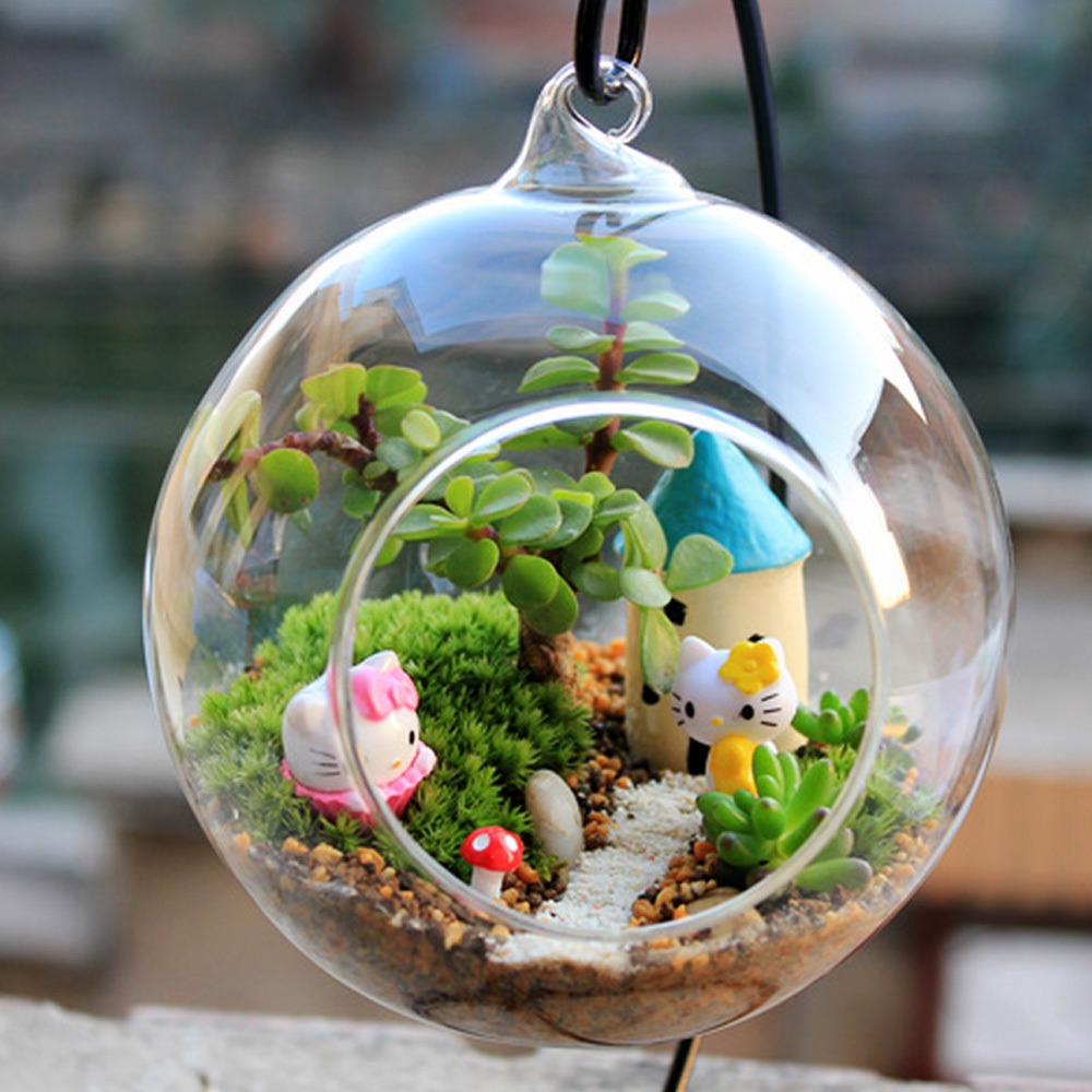 Hướng dẫn cách làm terrarium đơn giản ngay tại nhà