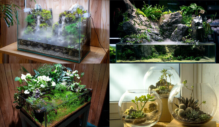 Một số kiểu terrarium phổ biến hiện nay